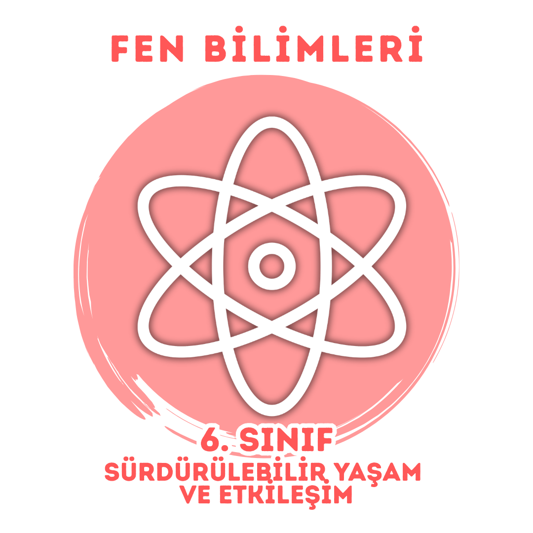 Sürdürülebilir Yaşam ve Etkileşim