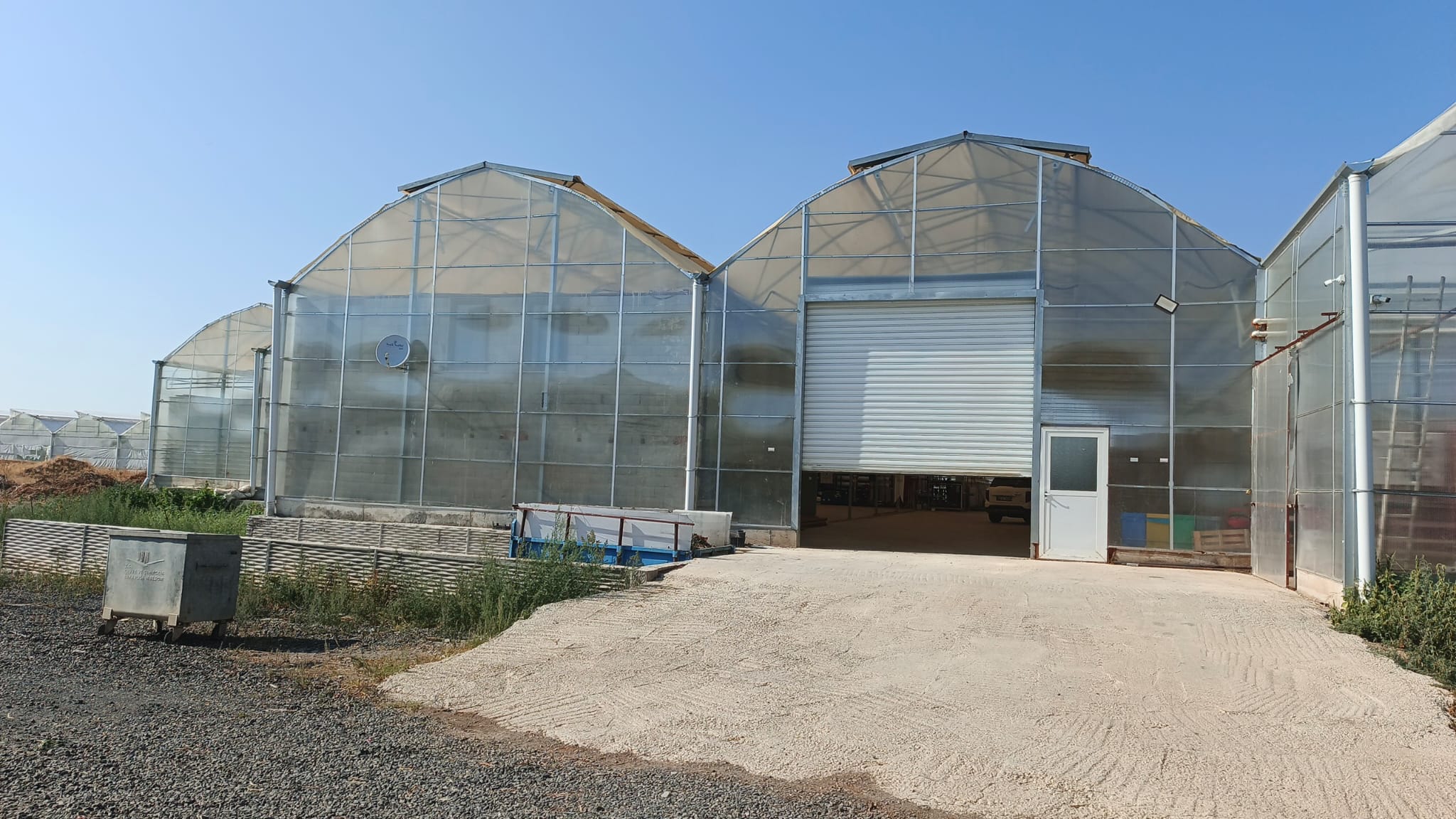 Böğürtlen ve Ahududu Sera Üretim Tesisi