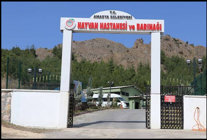 Amasya Hayvan Barınağı ve Hayvan Hastanesi
