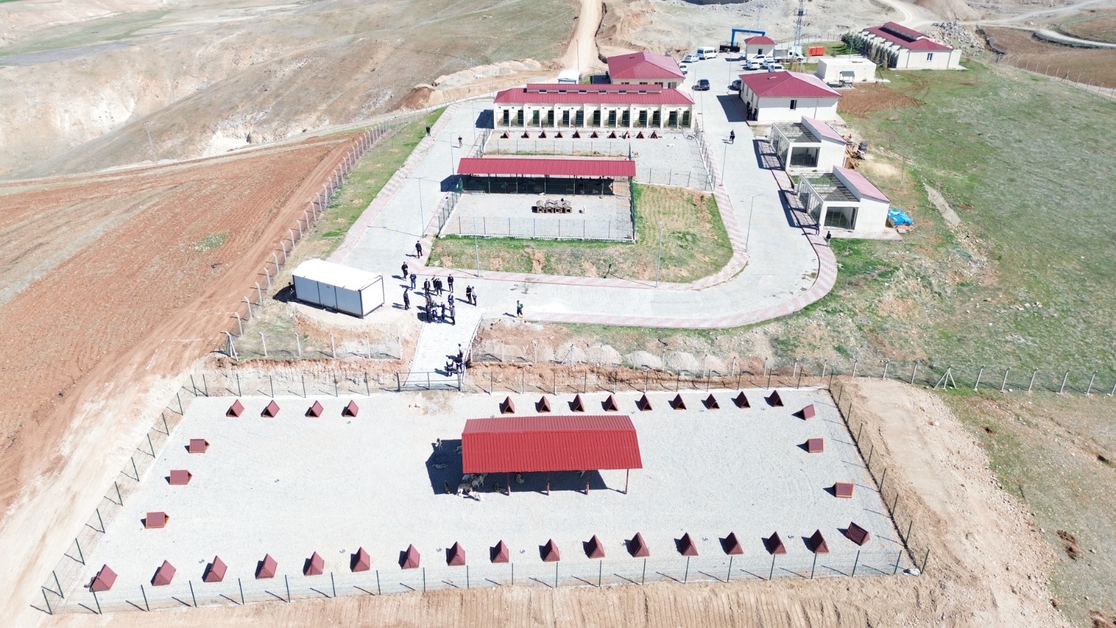 Siirt Belediyesi Sokak Hayvanları Bakım ve Rehabilitasyon Merkezi