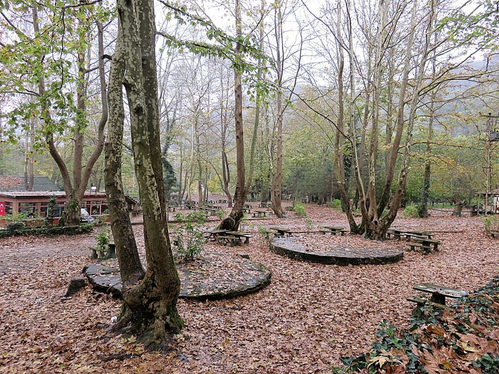 Maden Deresi ve Şelalesi