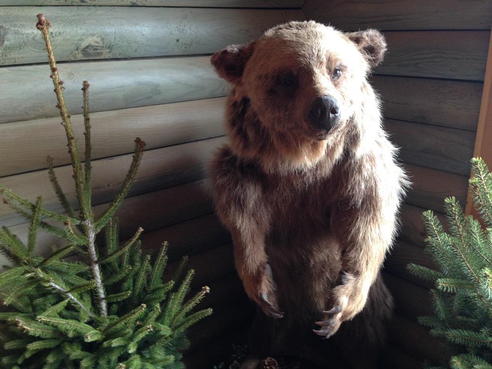 Bolu Abant Gölü Millî Parkı