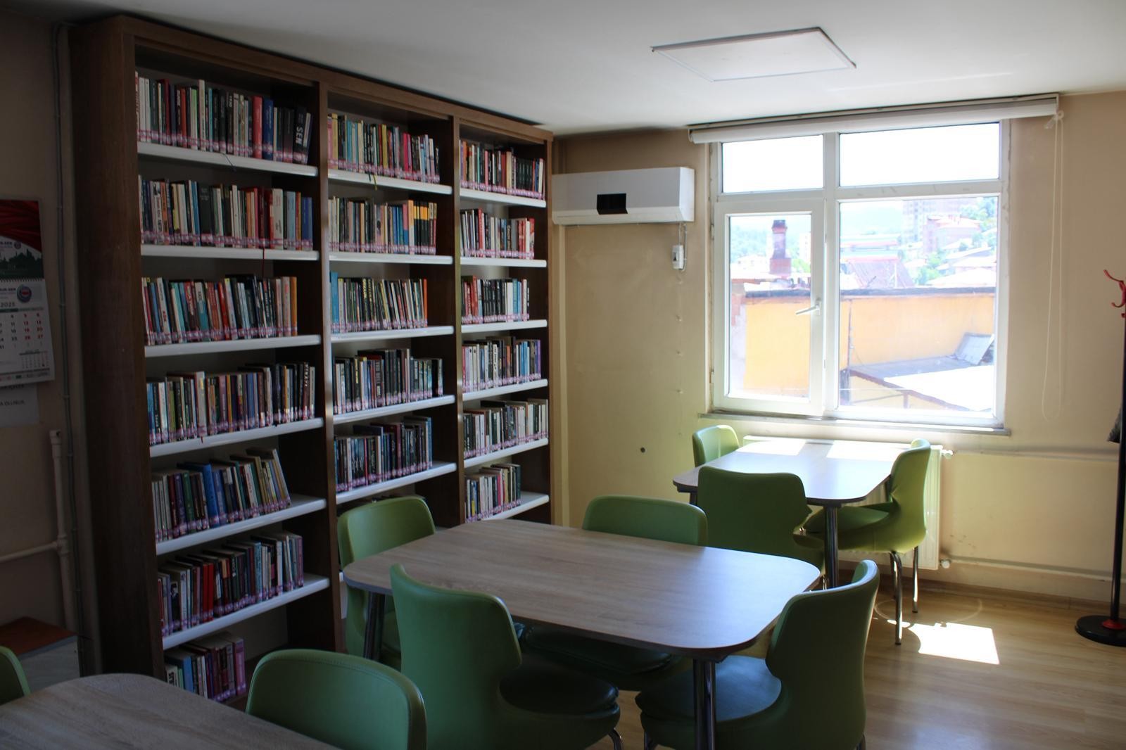 Mesudiye İlçe Halk Kütüphanesi Müdürlüğü