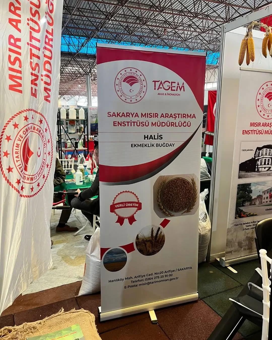 Mısır Araştırma Enstitüsü Müdürlüğü