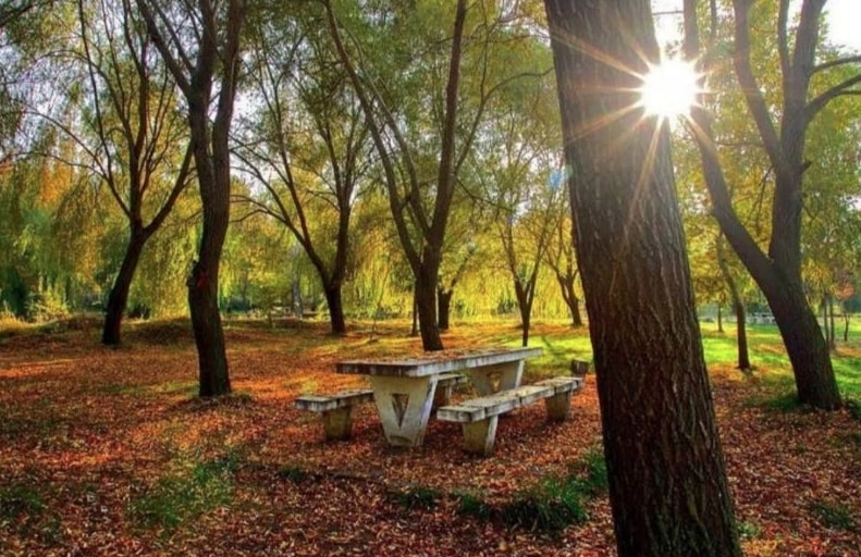 Gümenek Mesire Alanı