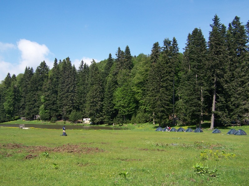 Bolu  Aladağlar Orman İşletme Müdürlüğü ve Yaylalarımız