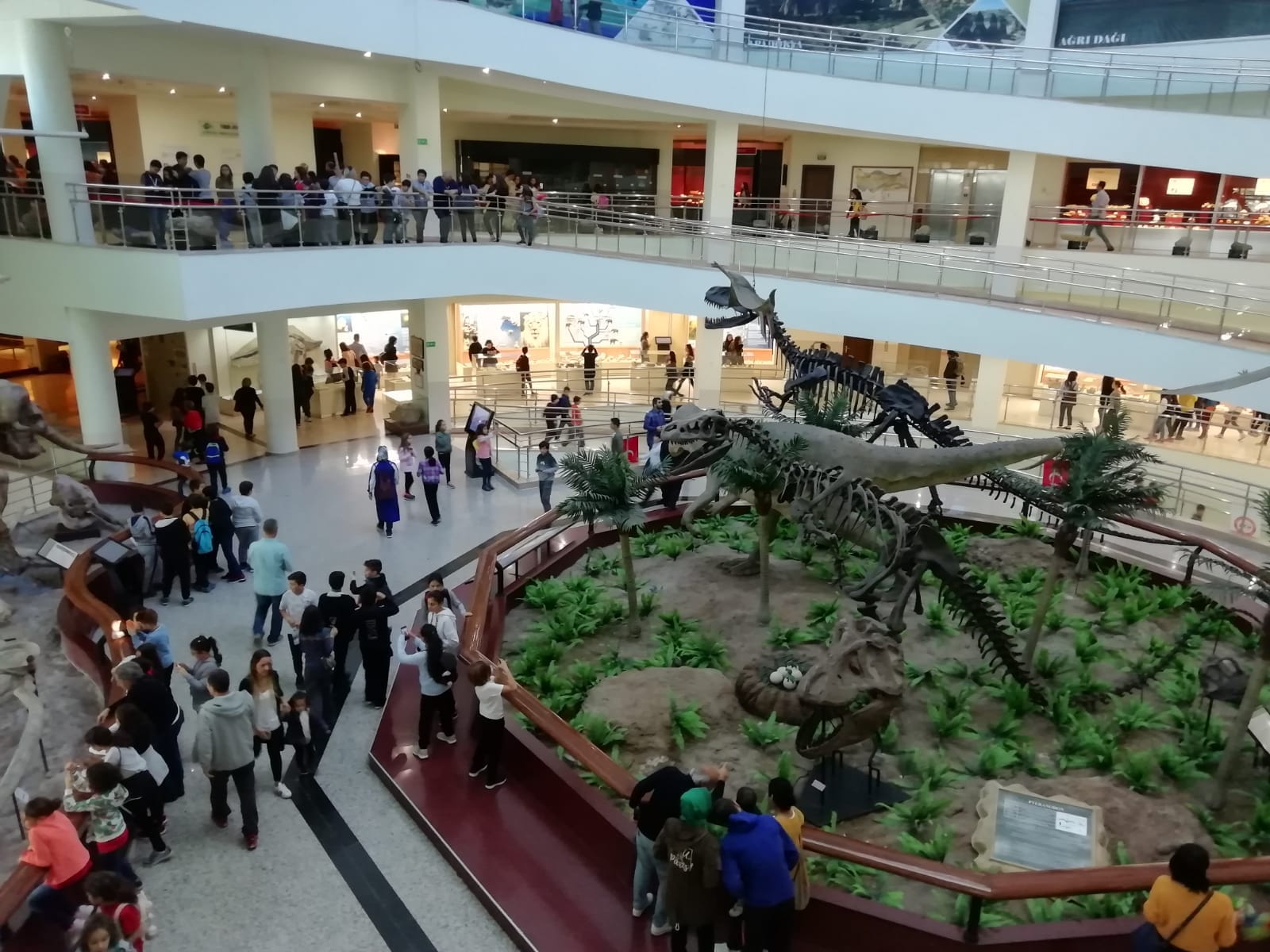 MTA Şehit Cuma Dağ Tabiat Tarihi Müzesi