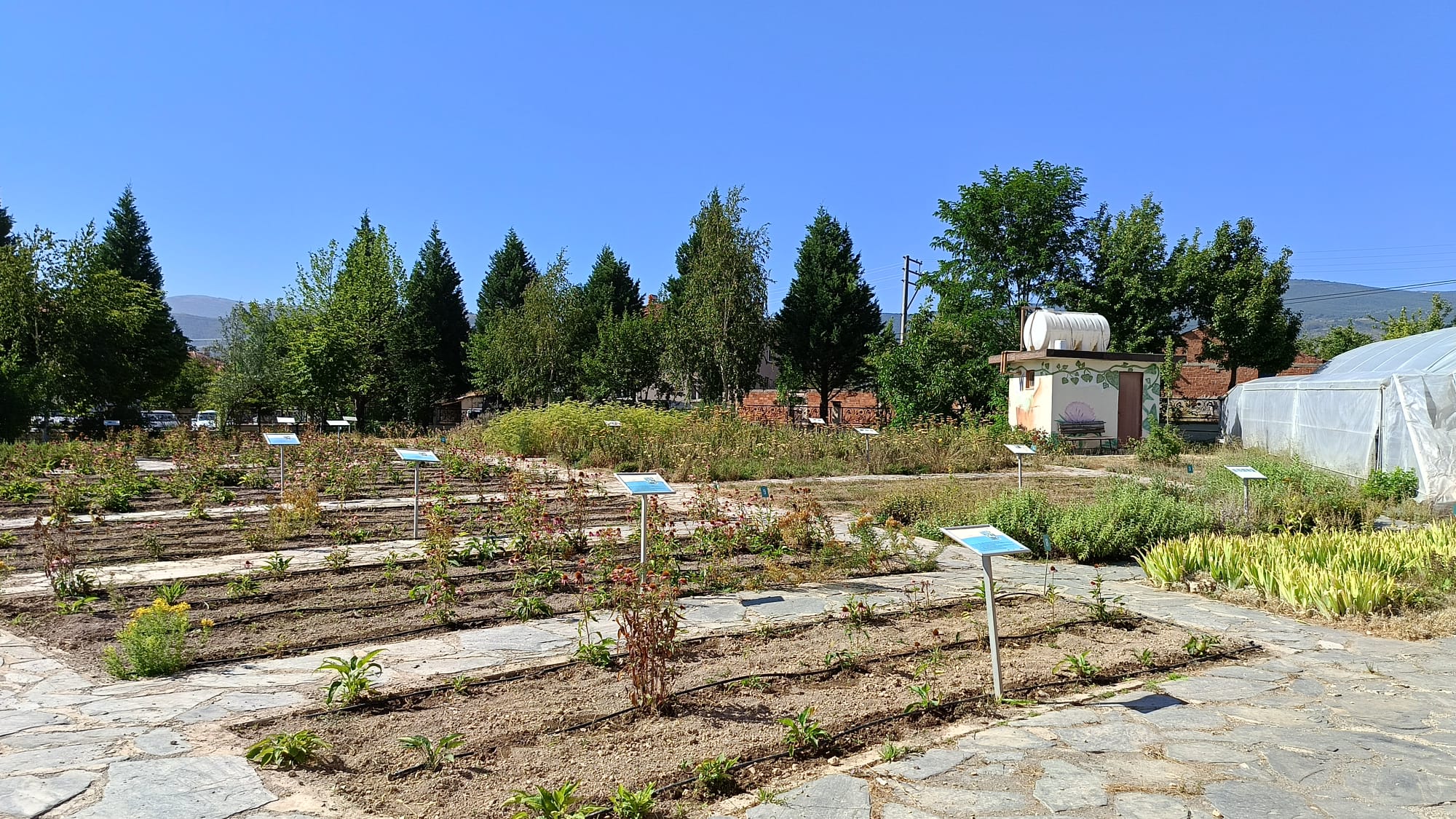 Hekim Sinan Tıbbi ve Aromatik Bitkiler Araştırma Merkezi