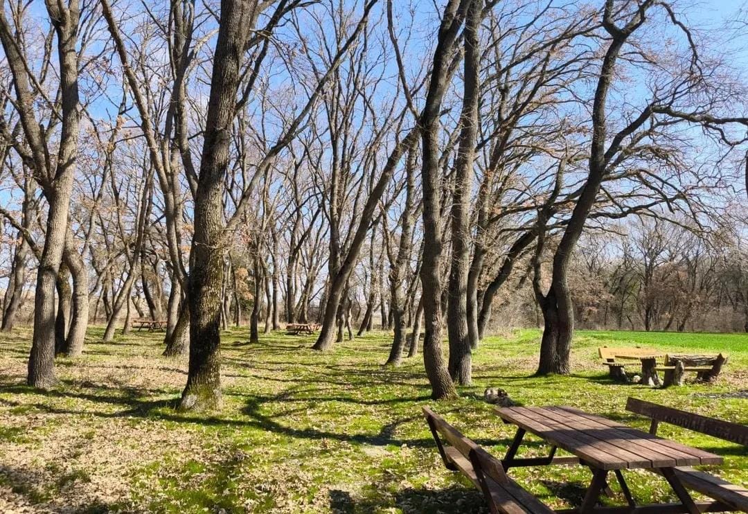 Hayrabolu Örey Korusu