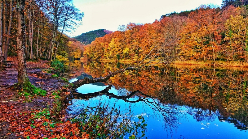 Kastro Çamlıköy Tabiat Parkı