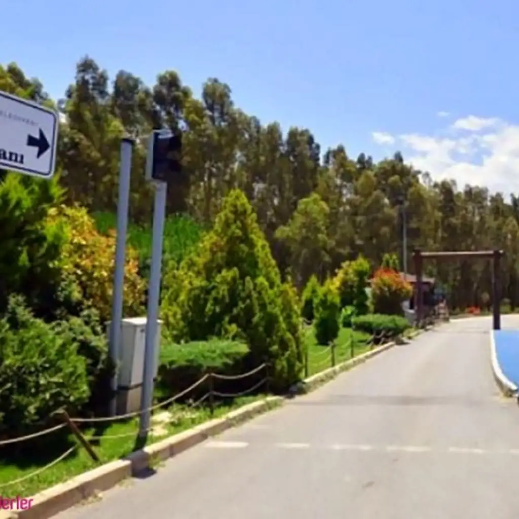 Sasalı Kent Ormanı