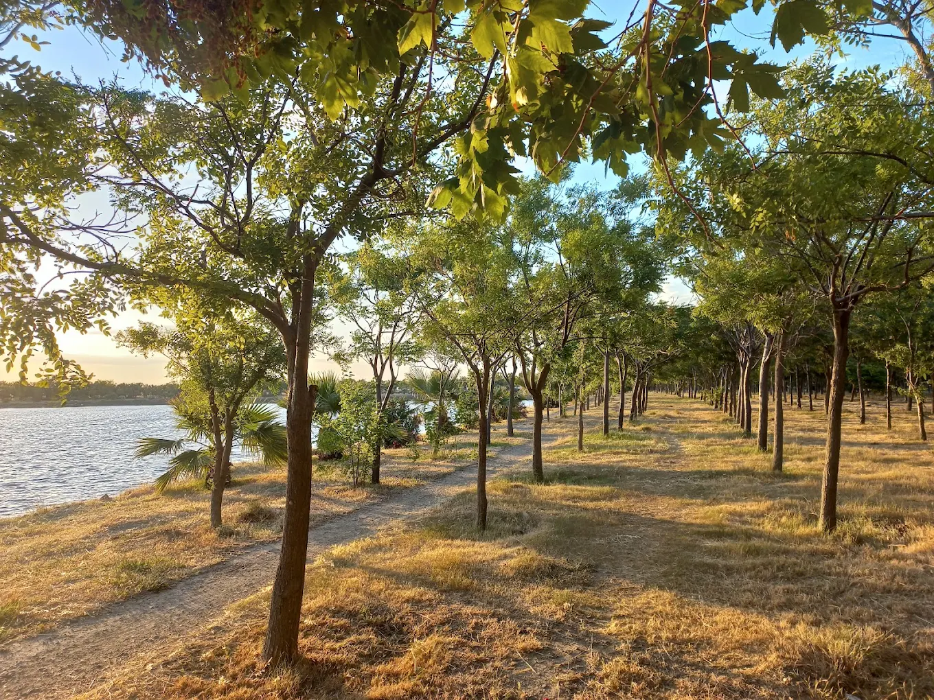 İnciraltı Kent Ormanı
