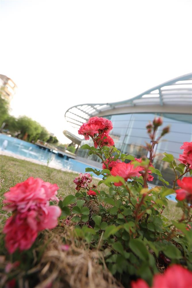 Bornova Kültür Merkezi