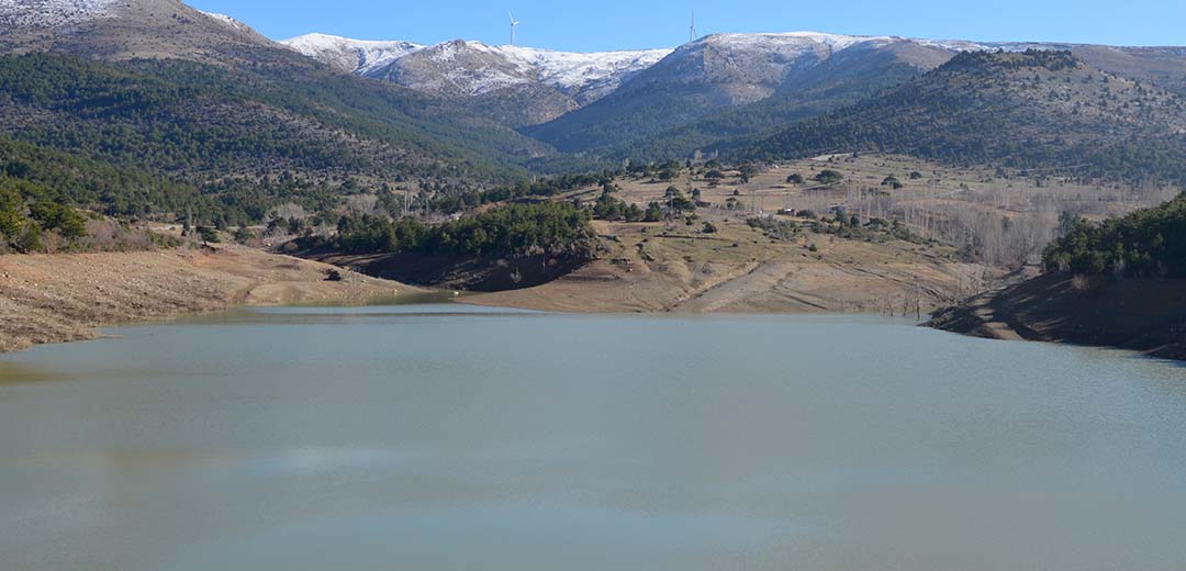 Kestel Gölü ve Ormanlığı