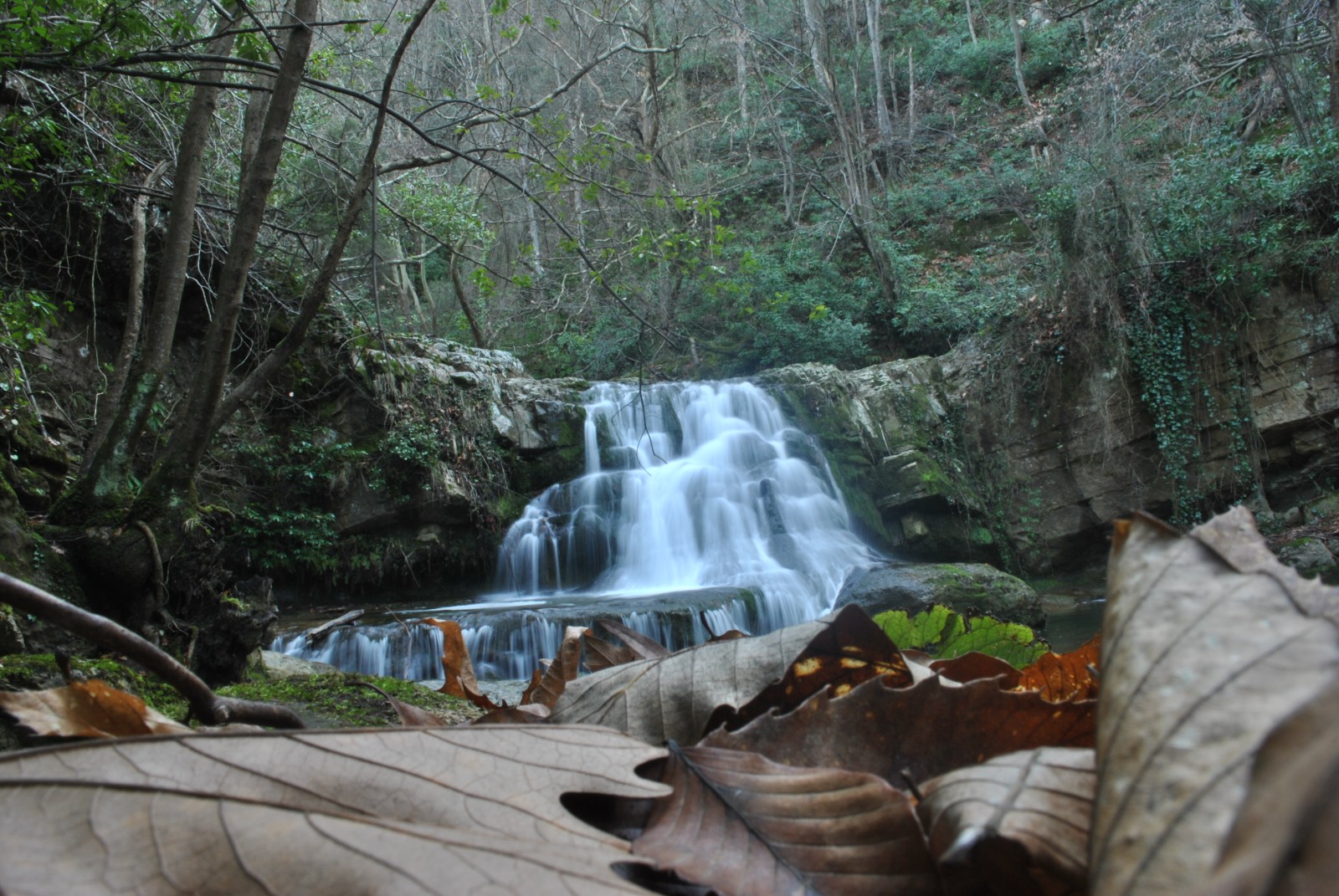 Değirmenağzı Şelaleleri