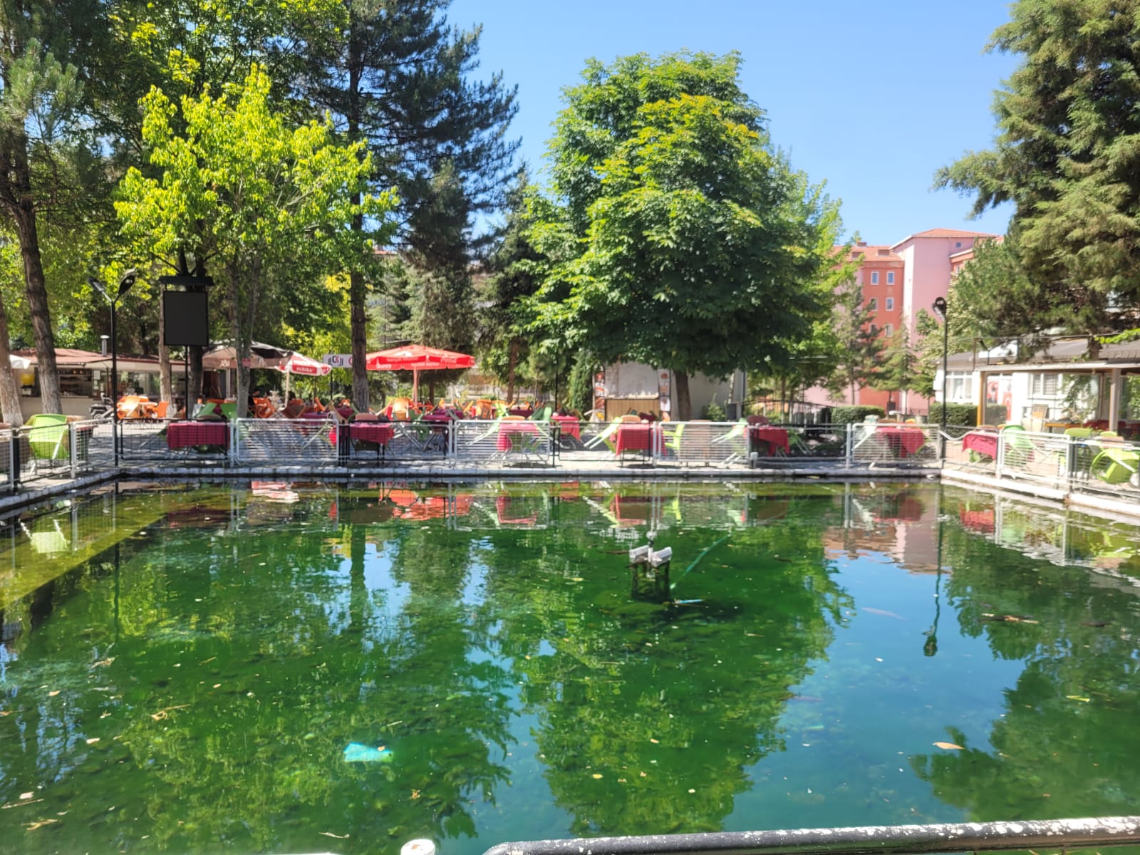 Tavşanlı Belediyesi Balıklı Parkı