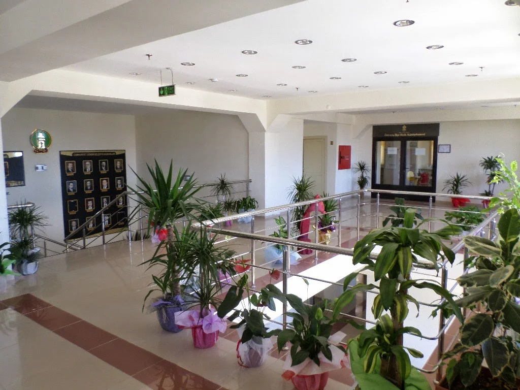 Ödemiş Kütüphanesi