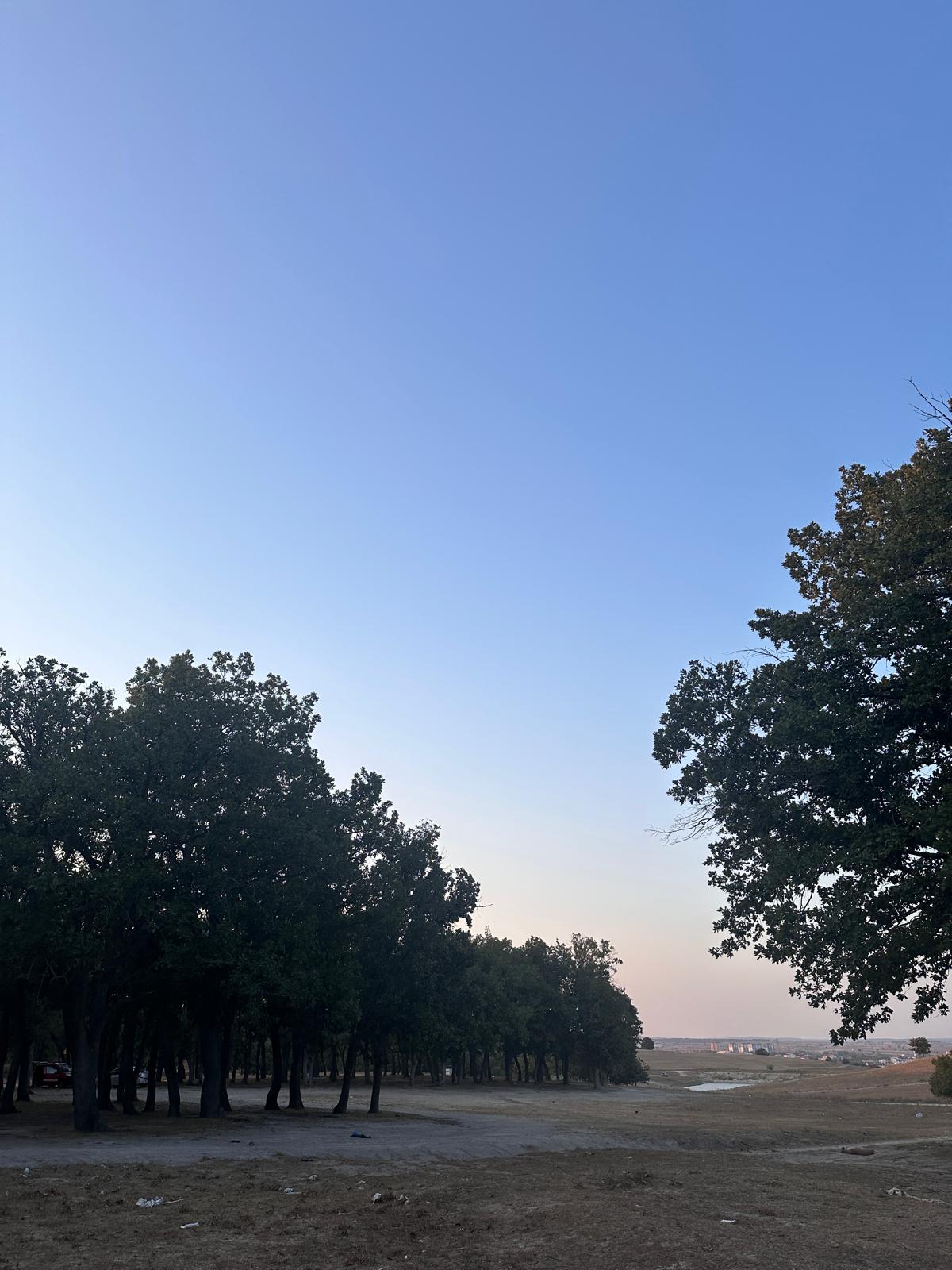 Saray Bozaba Mesire Alanı