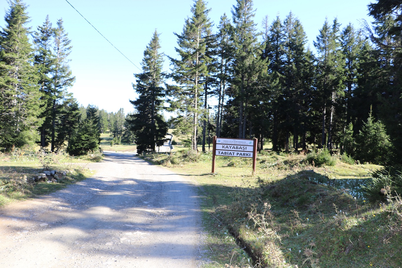 Düzköy Haçka Obası Yaylası