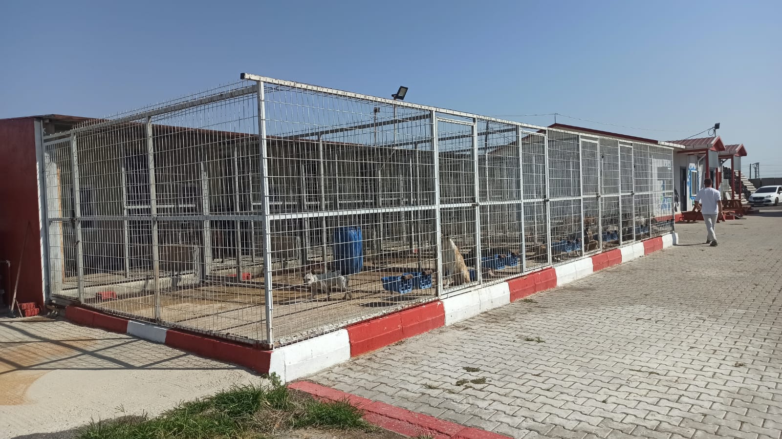 Muratlı Belediyesi Geçici Hayvan Bakımevi