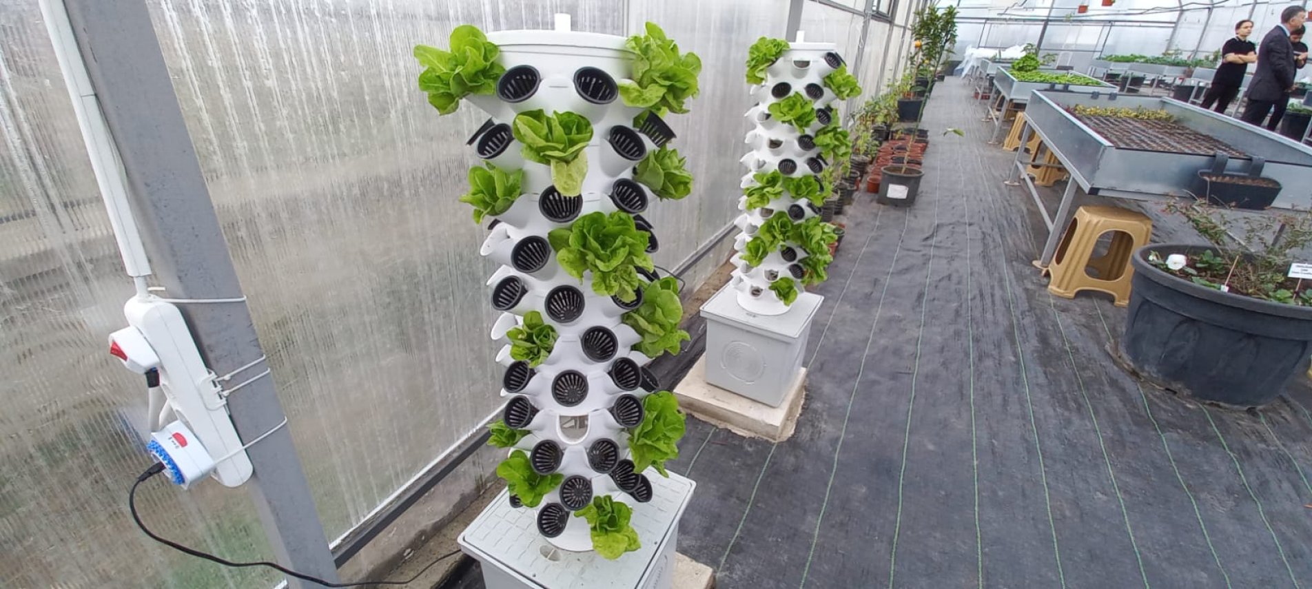 İbn-i Sina Mesleki ve Teknik Anadolu Lisesi Topraksız Tarım Serası