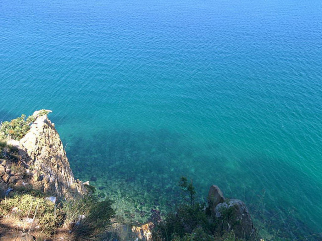 Süleymanpaşa Kumbağ Çamlık Mesire Alanı