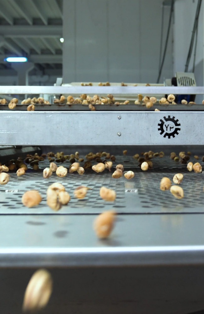 Kırlıoğlu İncir İşletmesi