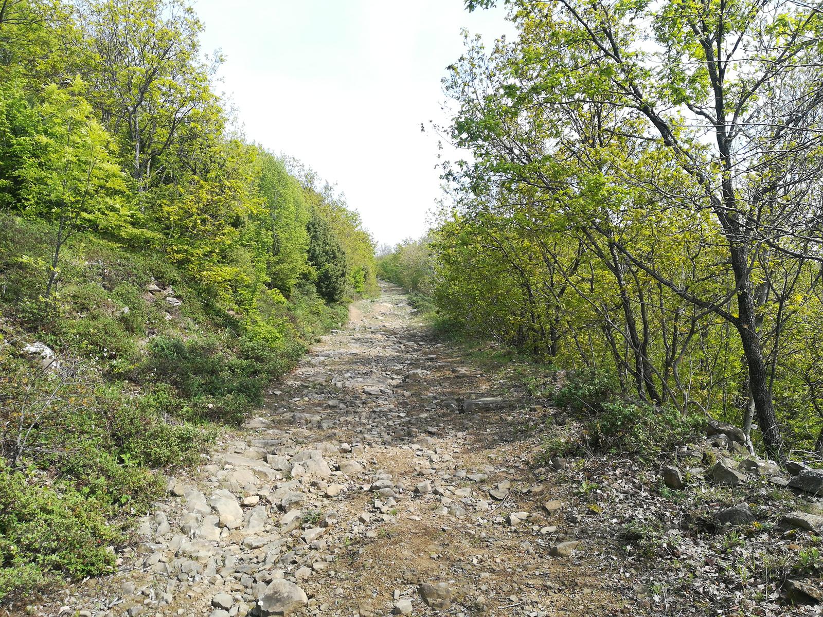 Süleymanpaşa Nişantepe Doğa Yürüyüşü (Trekking) Parkuru