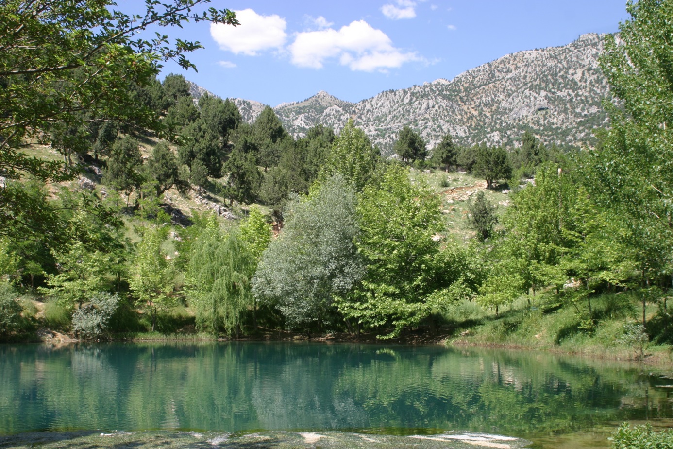 Yeşilgöz Doğal Tabiat Parkı