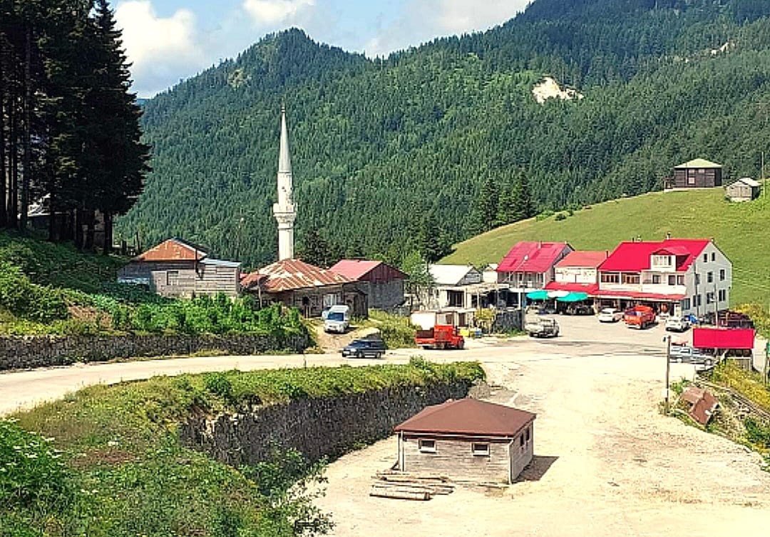 Tonya Erikbeli Yaylası