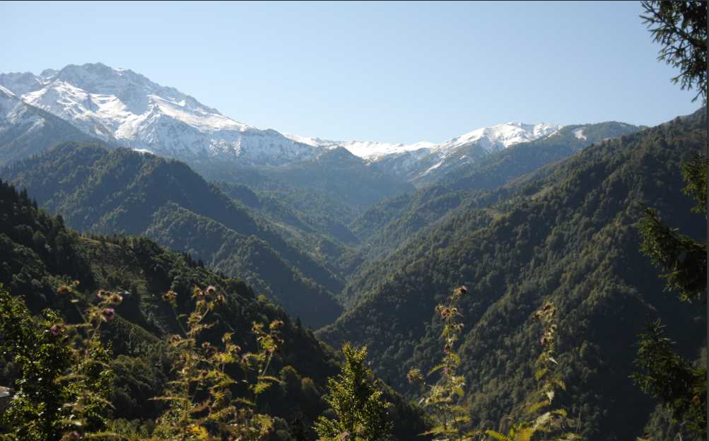 Camili Gorgit Tabiatı Koruma Alanı