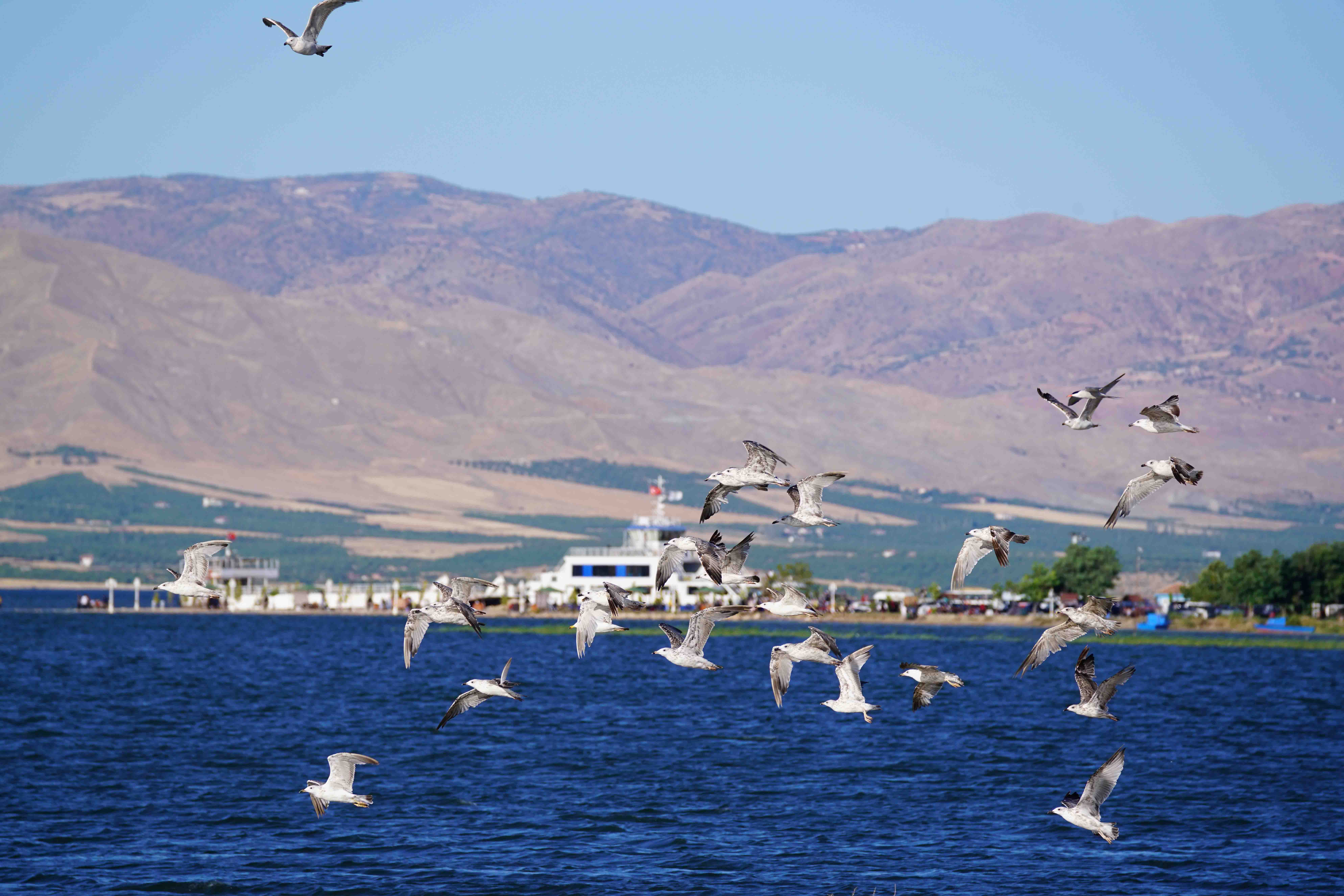 Büyükşehir Belediyesi Atabey İskele Parkı