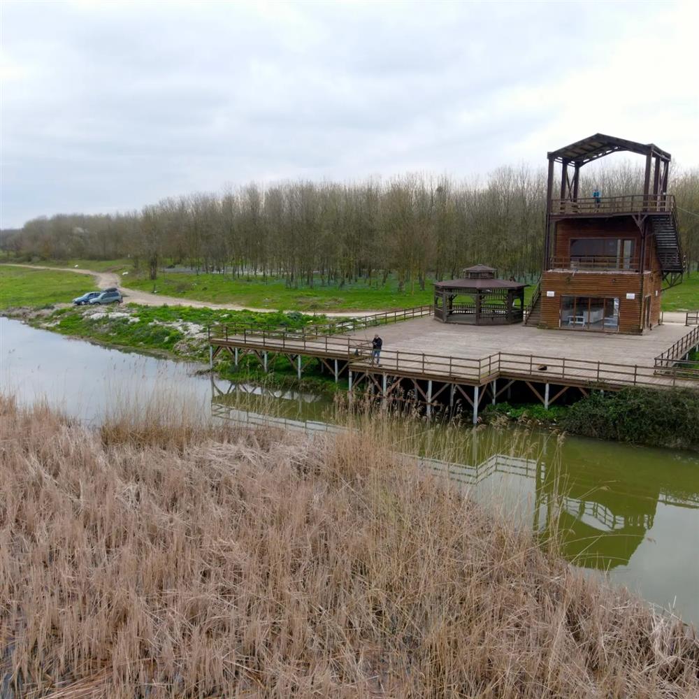 Büyük Akgöl ve Kuş Gözlem Kulesi