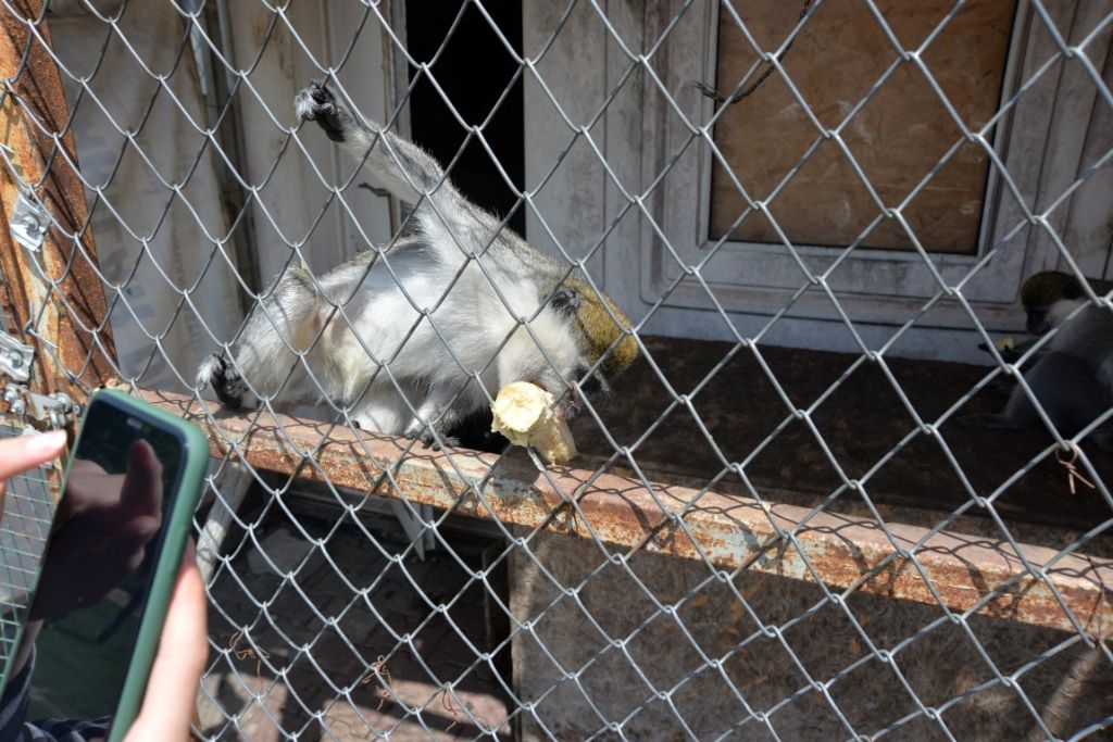 Hendek Hayvan Barınağı