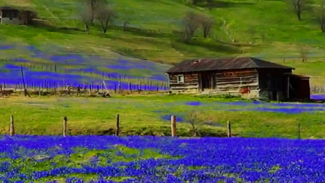 Kadıralak Yaylası Doğal Sit Alanı