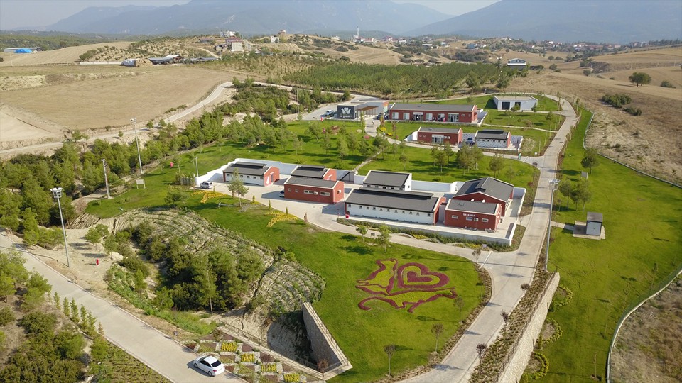 Denizli Büyükşehir Belediyesi Sokak Hayvanları Barınma  Rehabilitasyon ve Doğal Yaşam Parkı