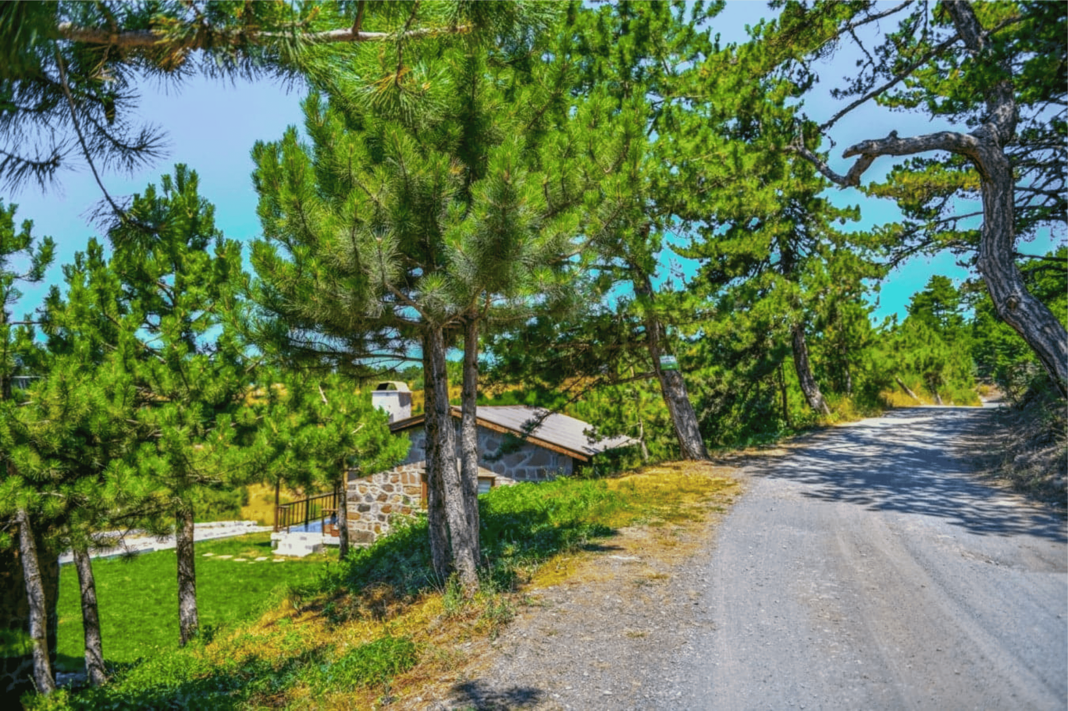 Beypazarı Karagöl Tabiat Parkı