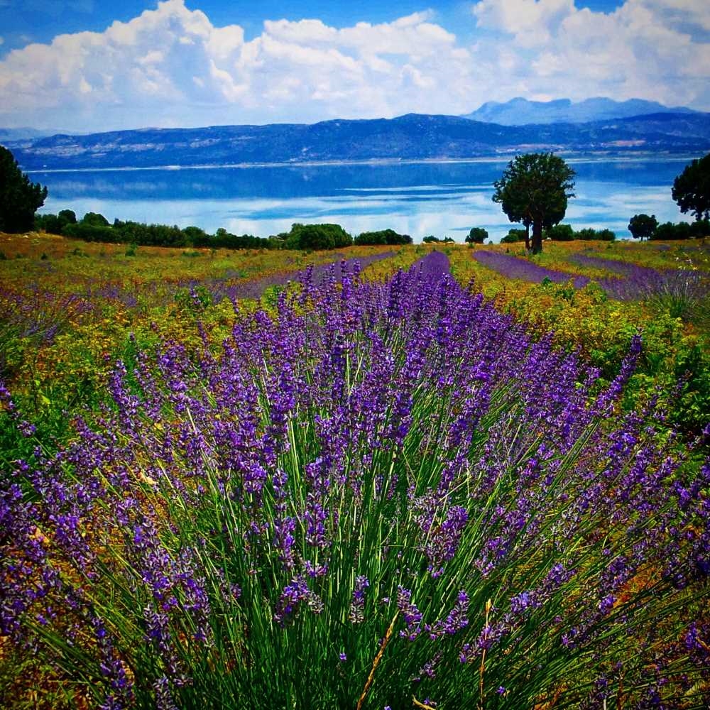Burdur Lisinia Doğa Tabiat Parkı