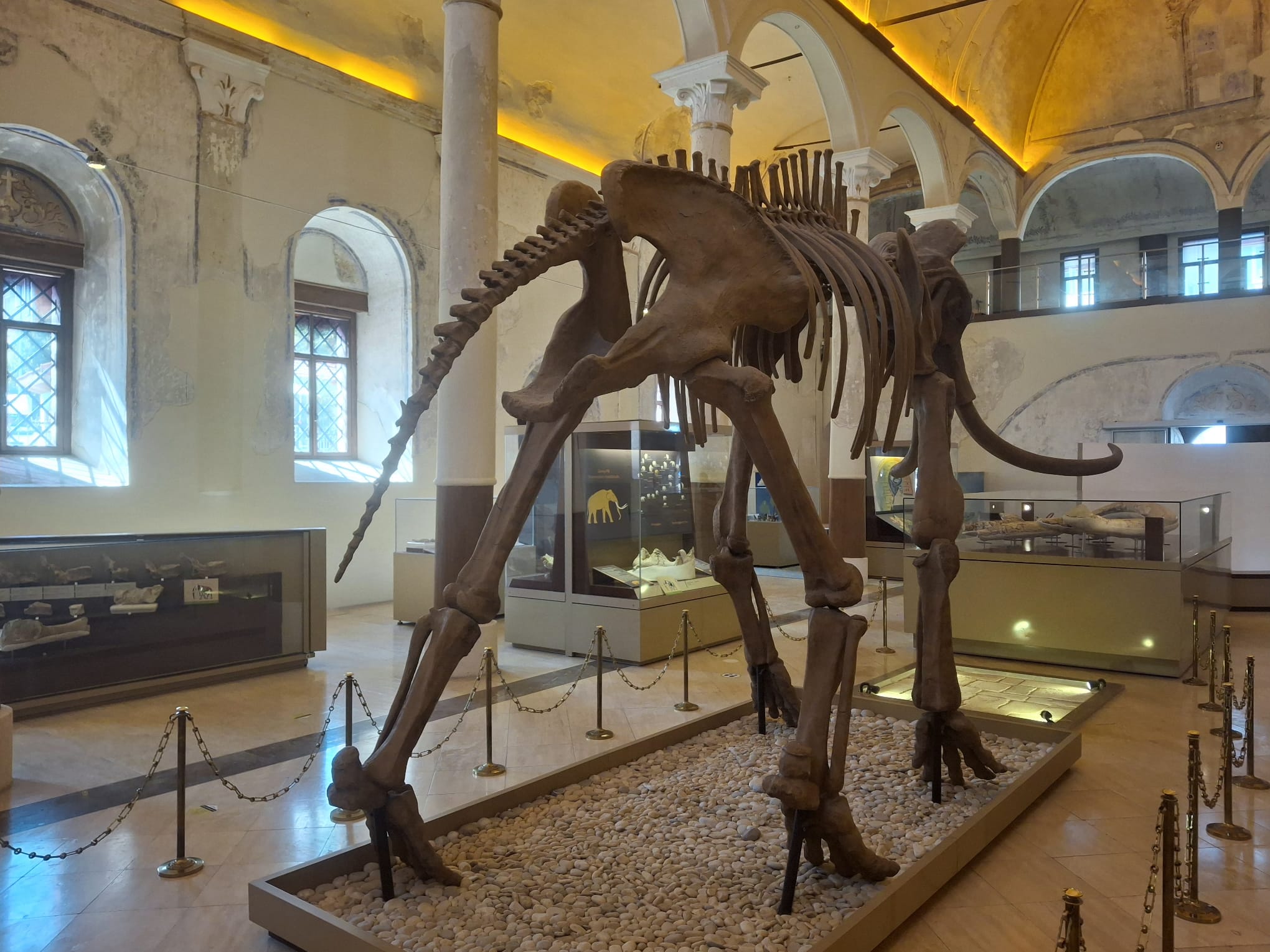 Burdur Doğa Tarihi Müzesi