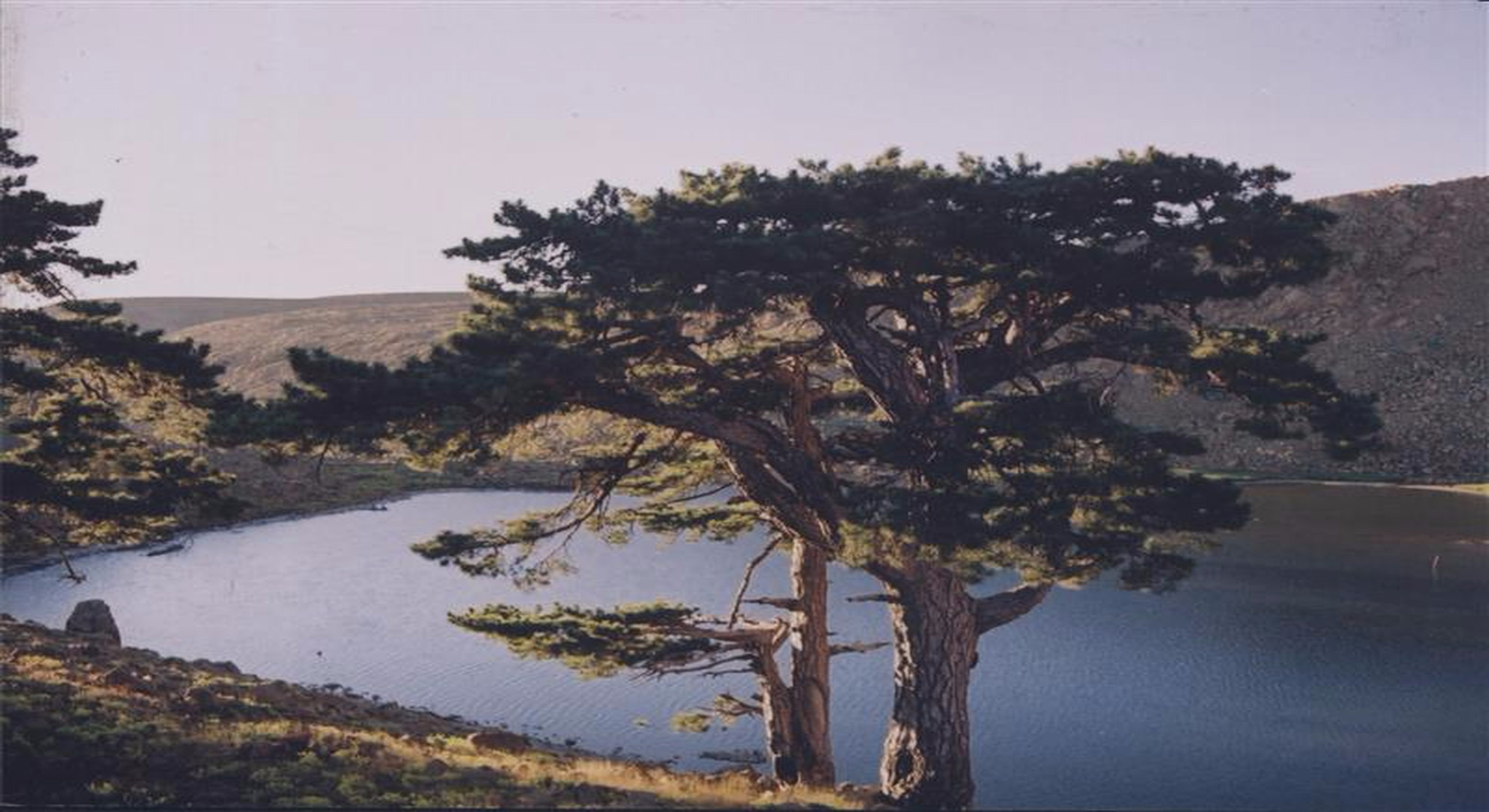 Kartal Gölü Tabiat Parkı