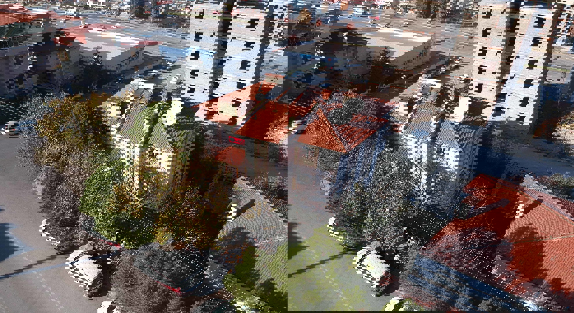 Şiddet Önleme ve İzleme Merkezi