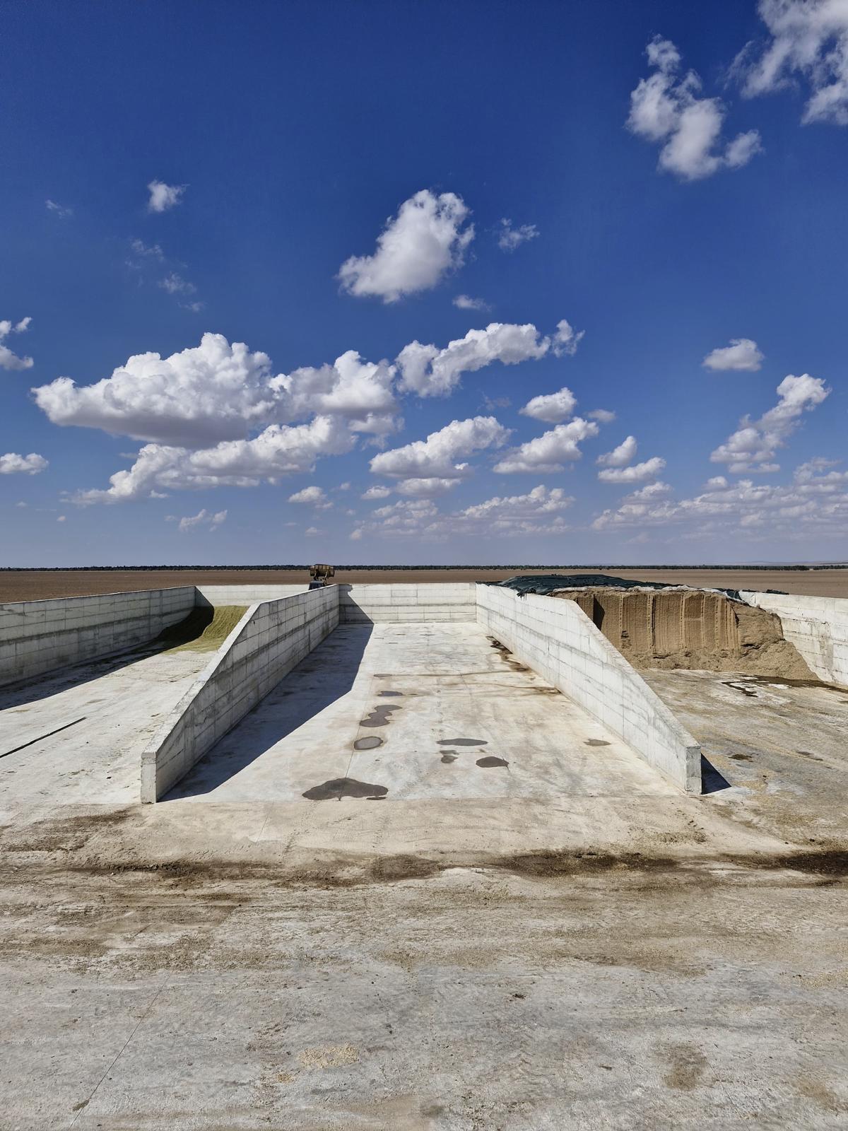 Altınova Tarım İşletmesi