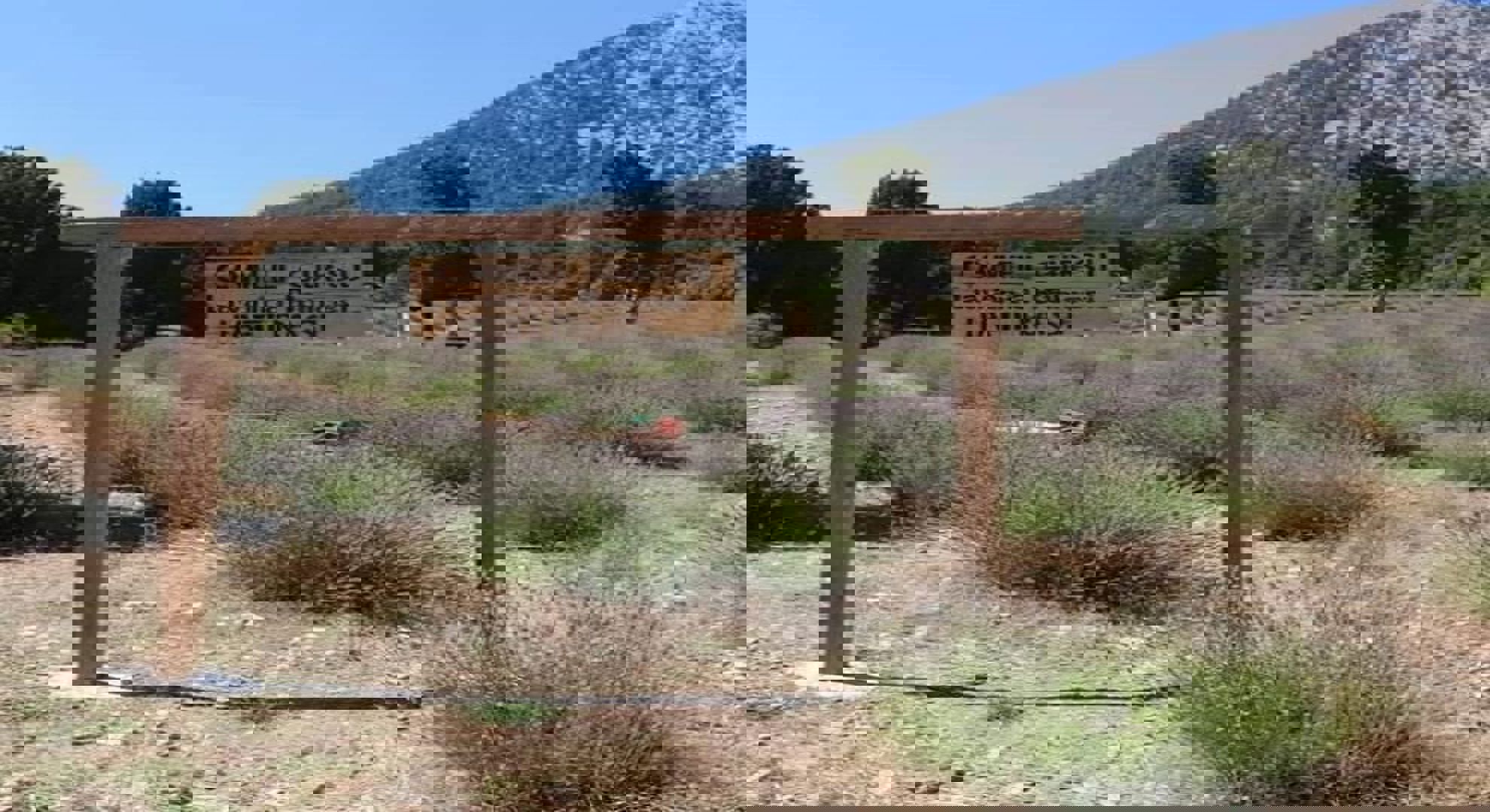 Çameli Lavanta Bahçesi