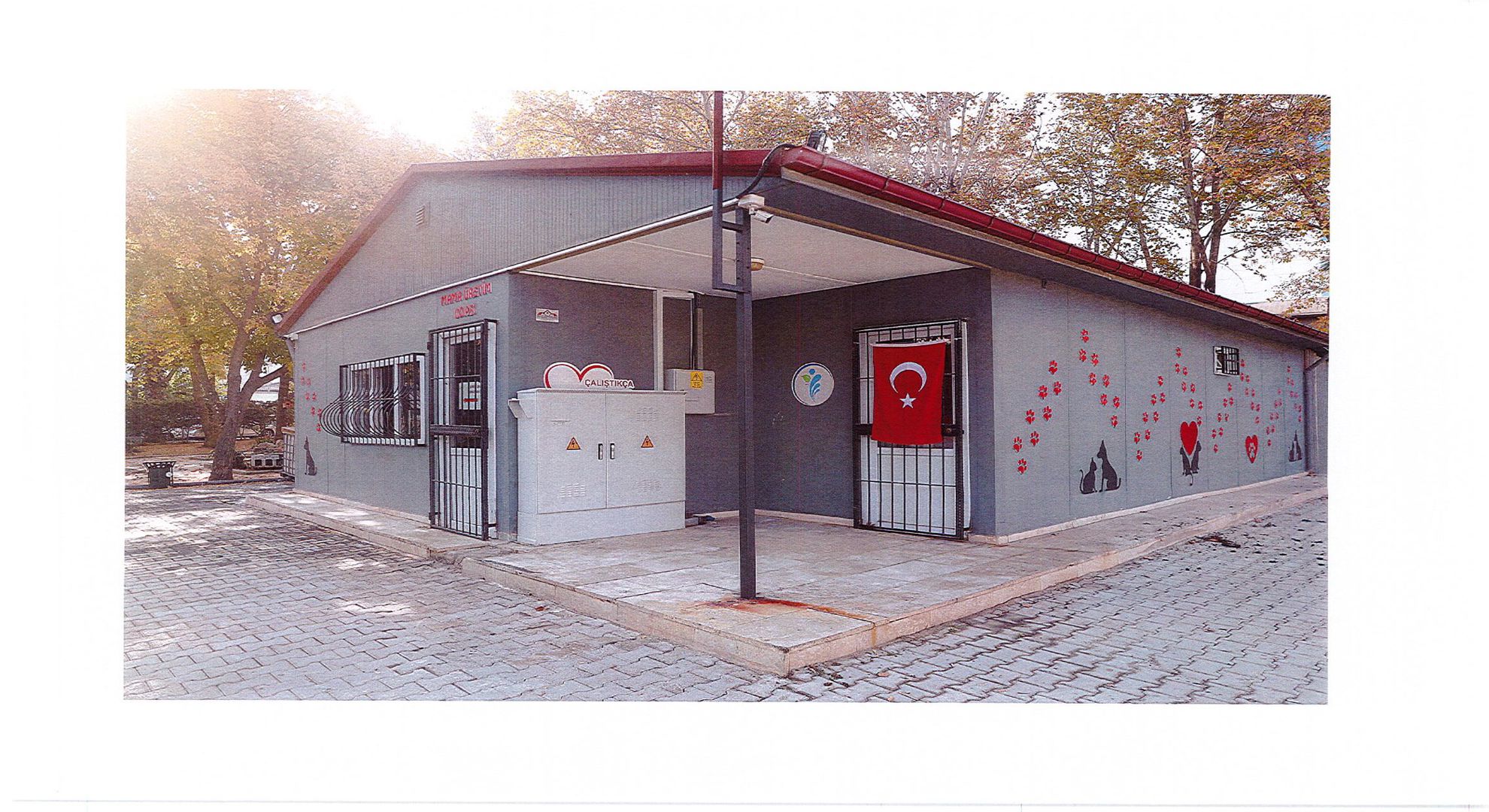 Pet Kafe ve Mama Üretim Tesisi