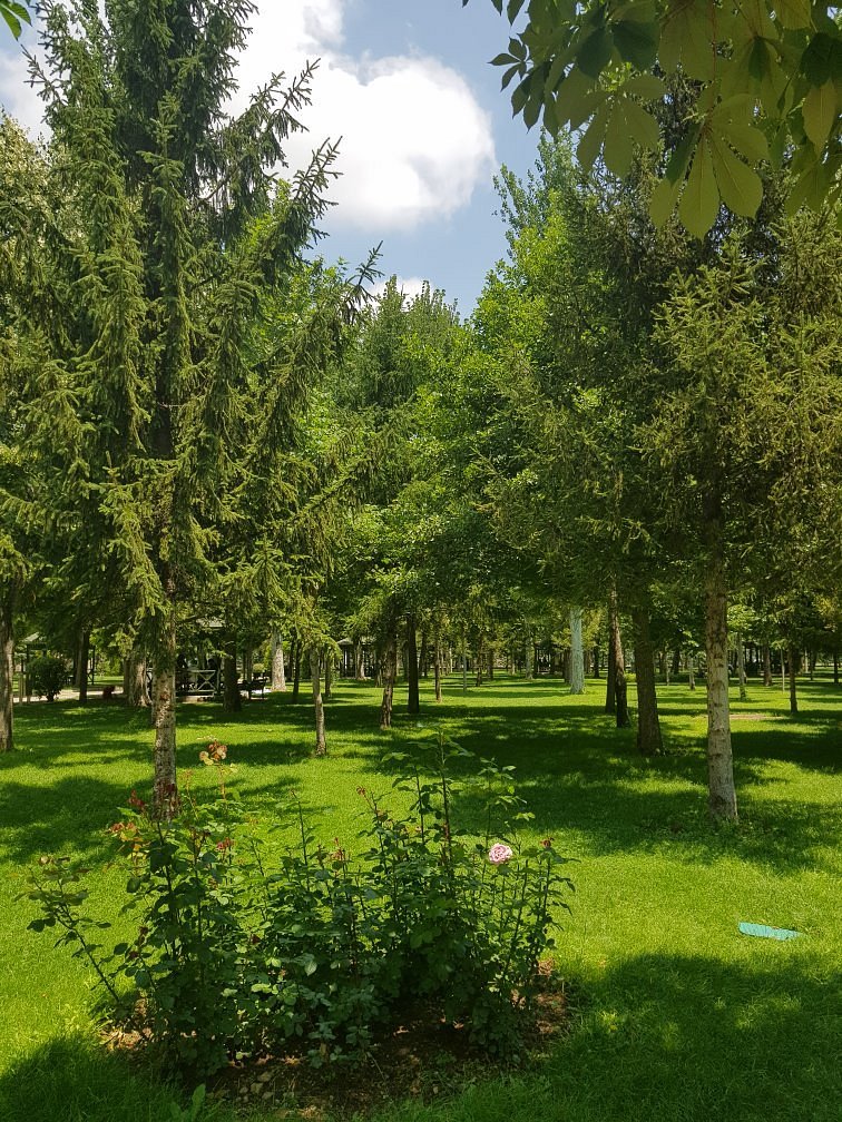 Kozağaç Parkı