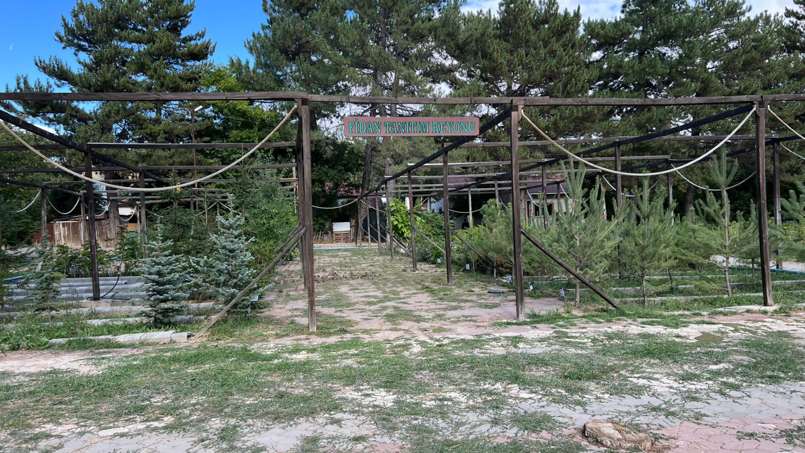 Fidanlık Müdürlüğü