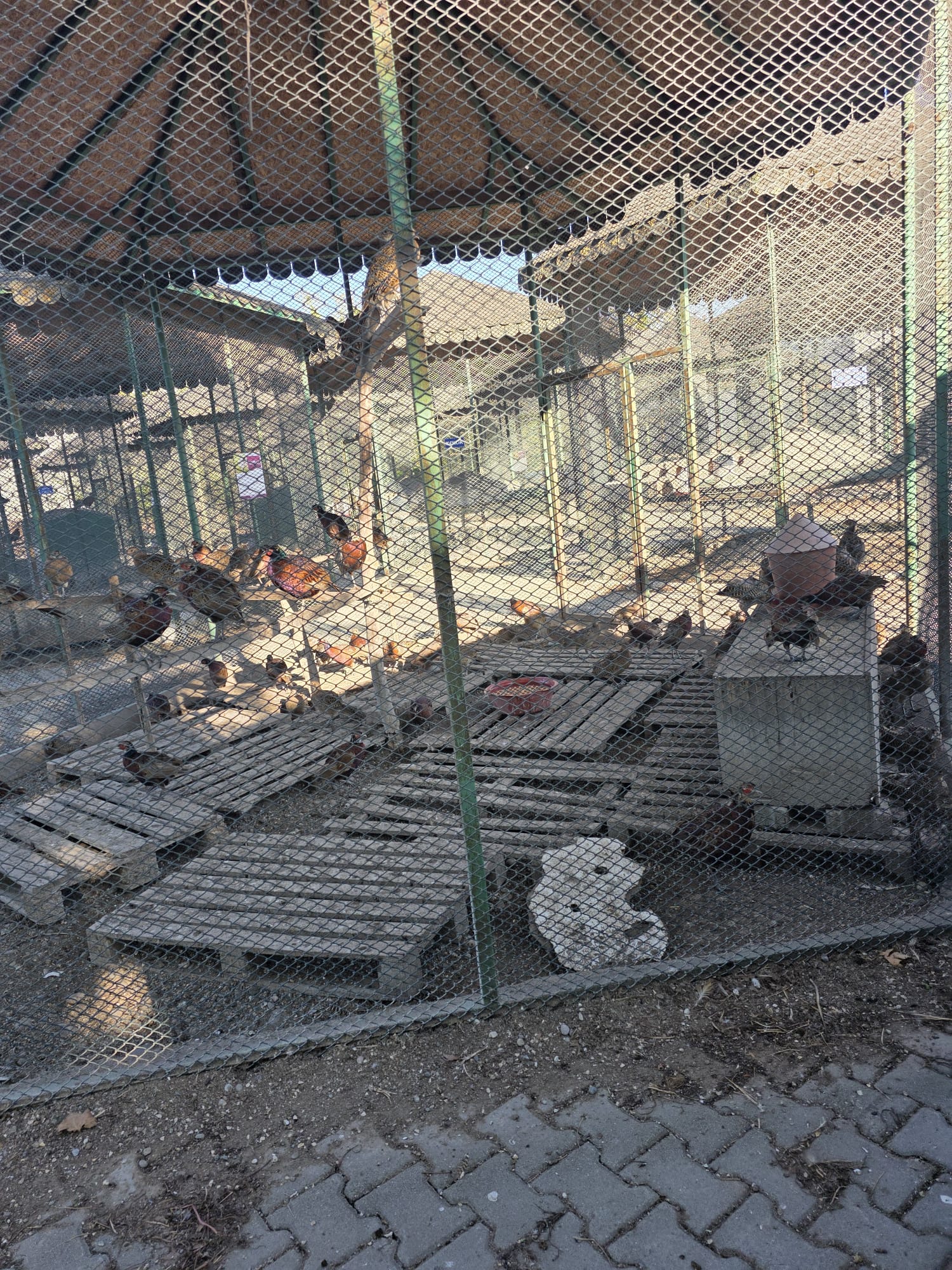 Çanakçılar Hayvanat Bahçesi ve Botanik Alanı