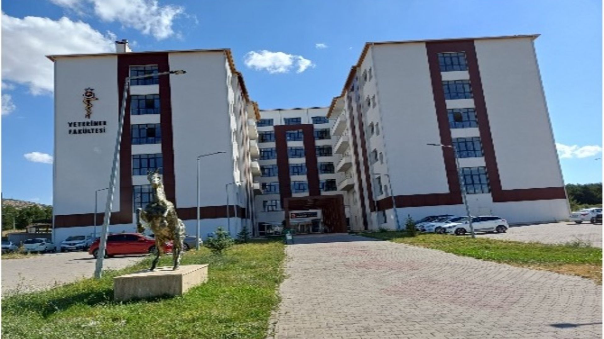 Veteriner Fakültesi