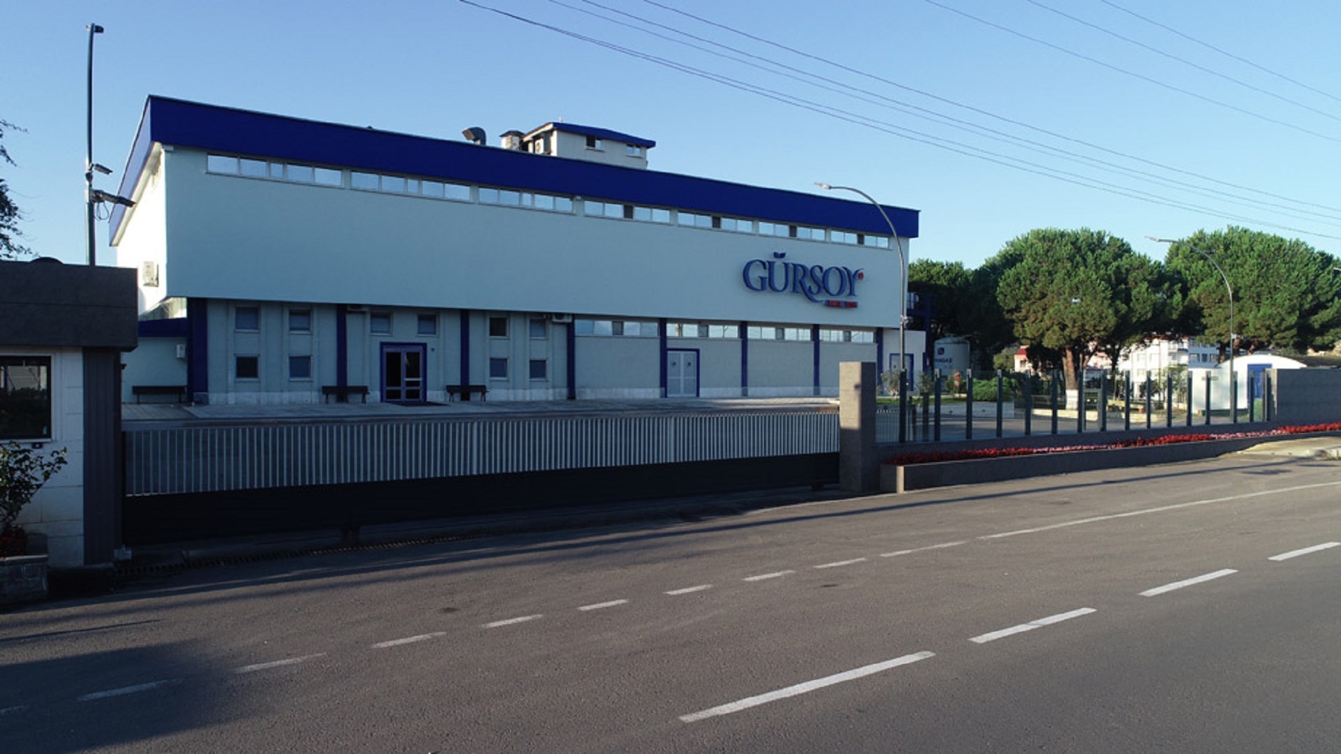 Altınordu Gürsoy Fındık