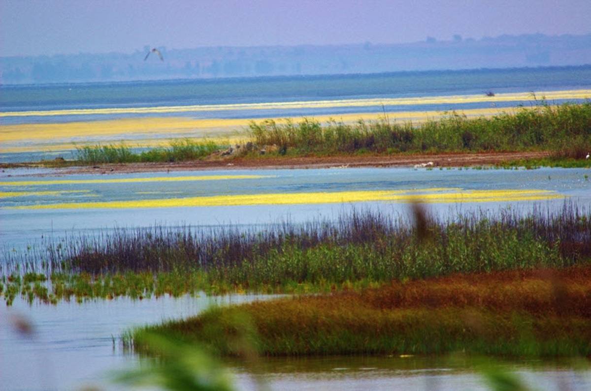 Yumurtalık Lagünleri  Milli Parkı